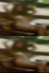 Swingers sex slave stories