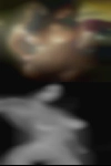 Swingers love website