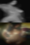 Free horny sluts Brisbane