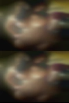 Hot married couple sharing